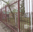 14-2.jpg - Кыштымский городской округ