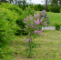 DSC_0383.jpg - Кыштымский городской округ
