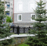 DSC_0261.jpg - Кыштымский городской округ
