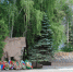 DSC_0135.jpg - Кыштымский городской округ