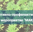 В Кыштыме проводится оперативно-профилактическая операция «Мак-2025» - Газета Кыштымский рабочий