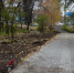 DSC_0329.jpg - Кыштымский городской округ