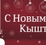 баннеры 6 на 3 м вариант 2.jpg - Кыштымский городской округ