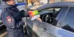 ГАИ Кыштыма присоединилась к Дню против мошенников