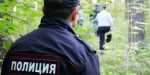 Как не заблудиться в лесу и что делать, если это произошло